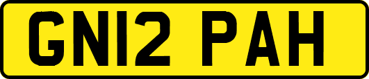GN12PAH