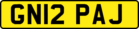 GN12PAJ