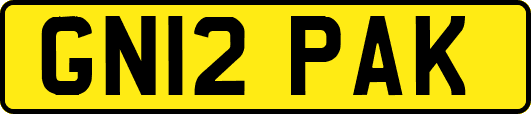 GN12PAK