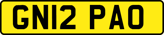 GN12PAO