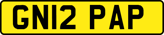 GN12PAP