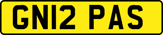 GN12PAS