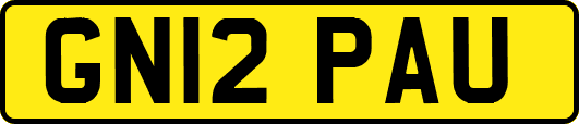 GN12PAU