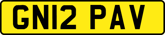 GN12PAV
