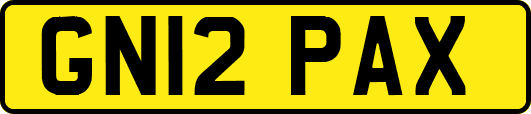 GN12PAX