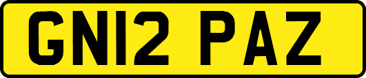 GN12PAZ