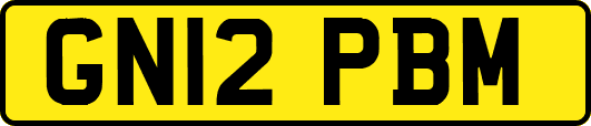 GN12PBM