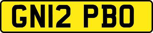 GN12PBO