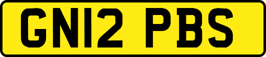 GN12PBS