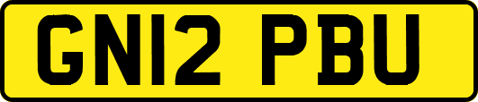 GN12PBU