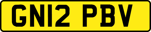 GN12PBV