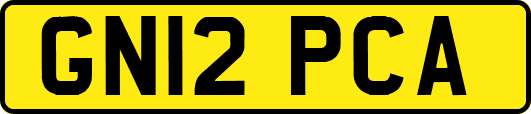 GN12PCA