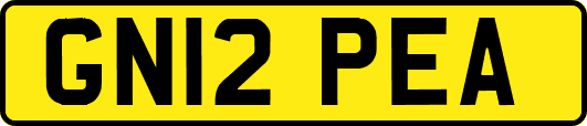 GN12PEA