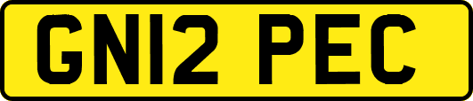 GN12PEC