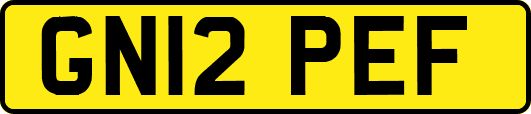 GN12PEF