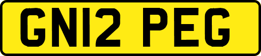 GN12PEG