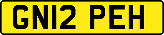 GN12PEH