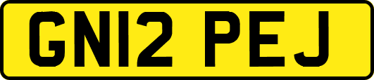 GN12PEJ