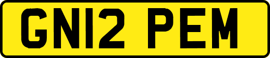 GN12PEM