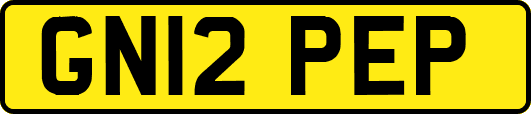 GN12PEP