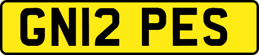GN12PES