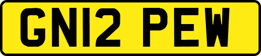 GN12PEW
