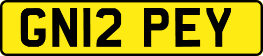 GN12PEY