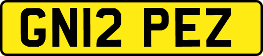 GN12PEZ