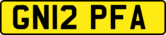 GN12PFA