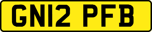 GN12PFB
