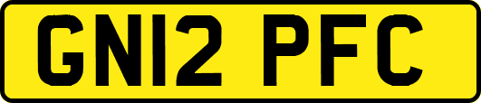 GN12PFC