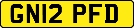 GN12PFD