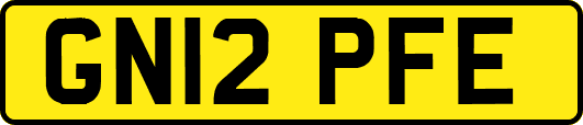 GN12PFE