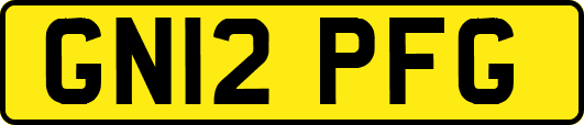 GN12PFG