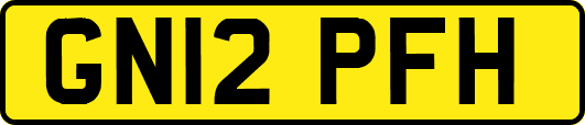 GN12PFH