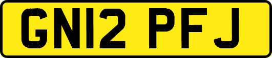 GN12PFJ