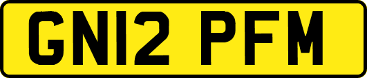 GN12PFM