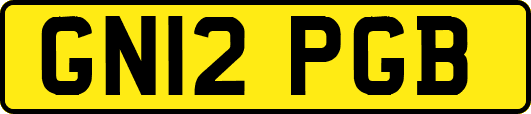 GN12PGB