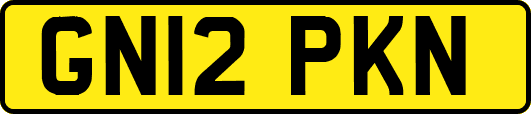 GN12PKN
