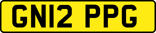 GN12PPG