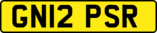 GN12PSR