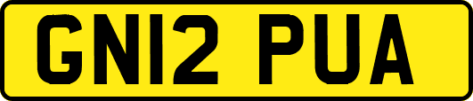 GN12PUA