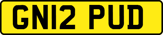 GN12PUD
