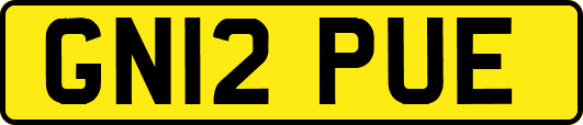 GN12PUE