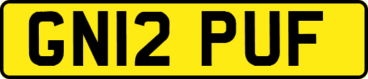 GN12PUF