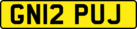 GN12PUJ