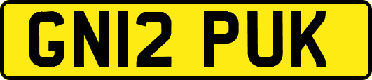 GN12PUK