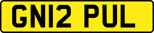 GN12PUL