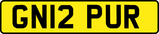GN12PUR