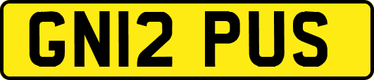 GN12PUS